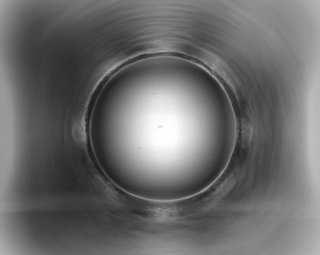 X0000096660789200802121130