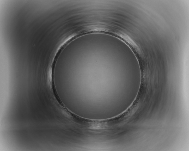 X0000096660790200802121130