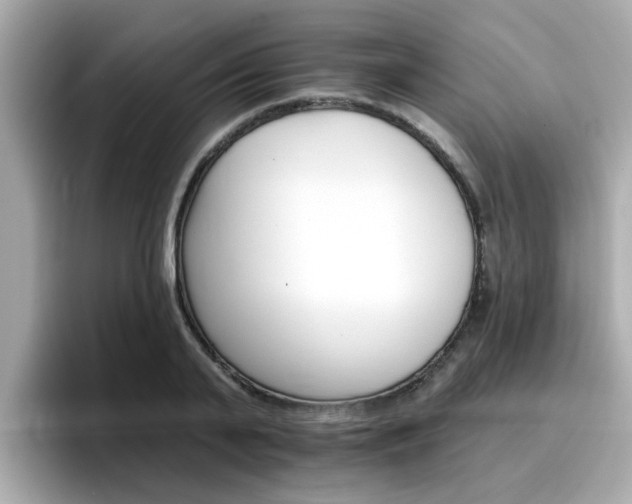 X0000096660791200802121130