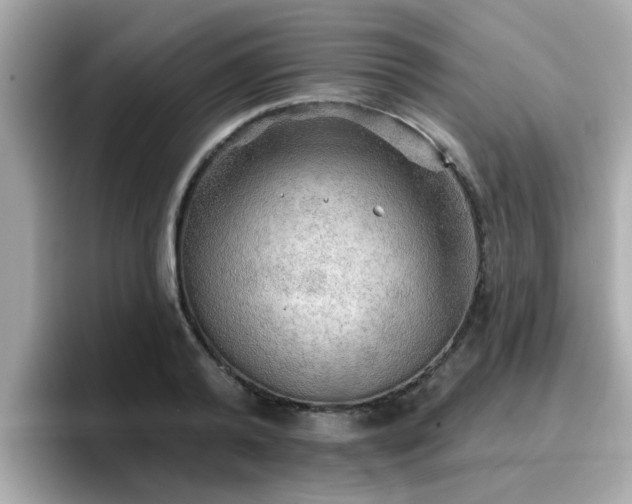 X0000096660792200802121130