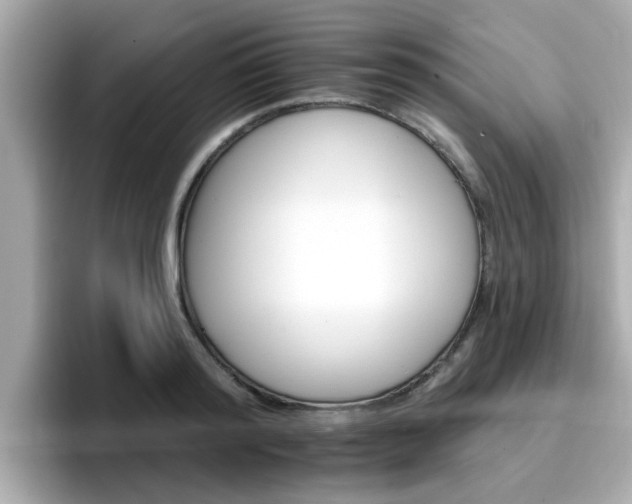 X0000096660796200802121129