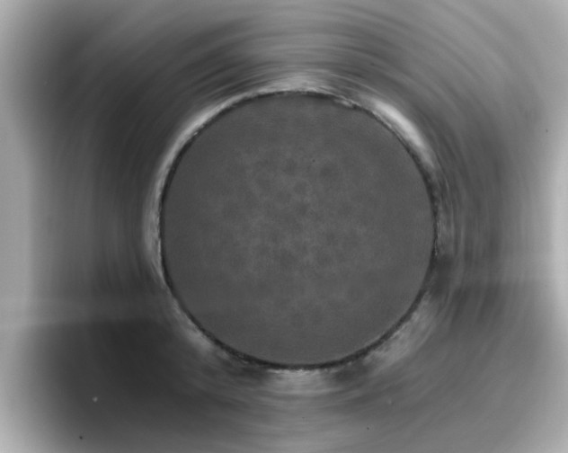 X0000096660800200802121129