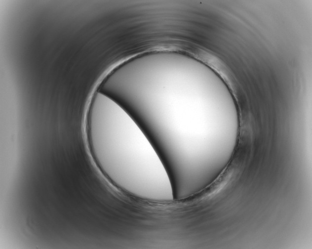 X0000096660803200802121129