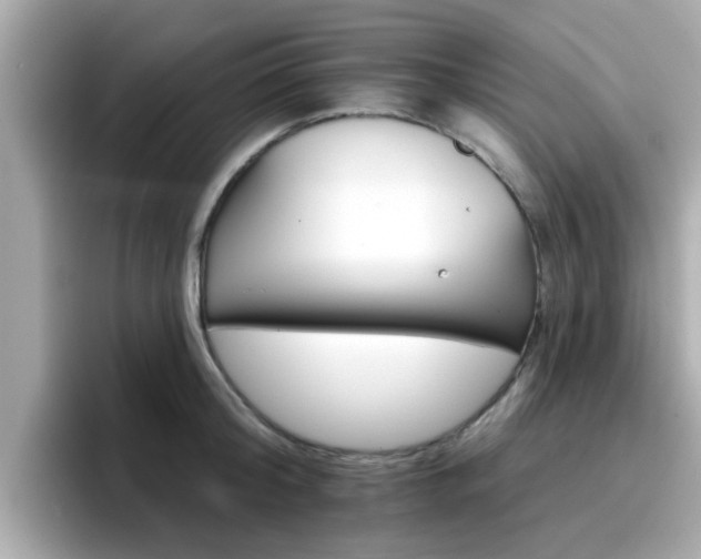 X0000096660804200802121129