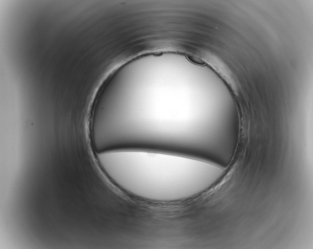 X0000096660805200802121129