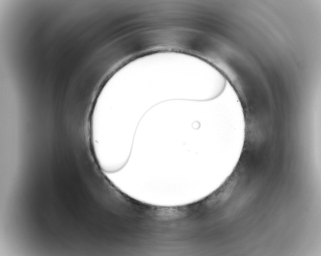 X0000096660807200802121129