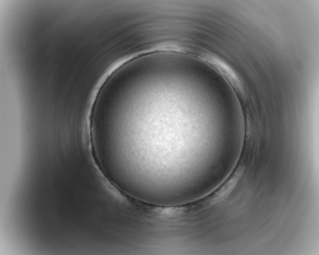 X0000096660808200802121129