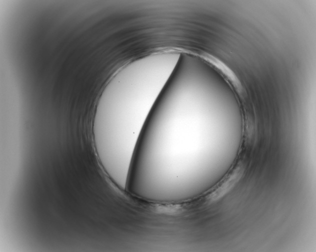 X0000096660809200802121129