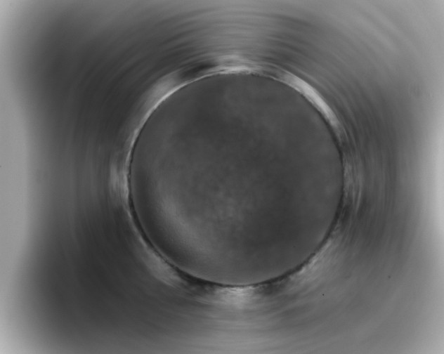 X0000096660810200802121129