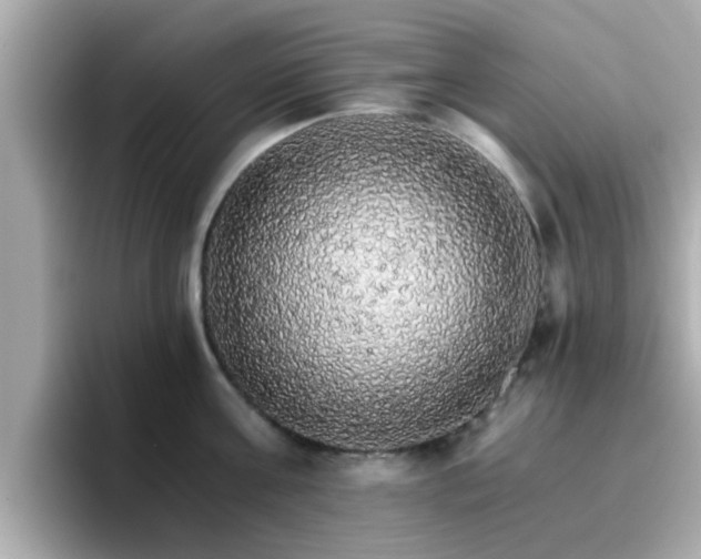 X0000096660811200802121129