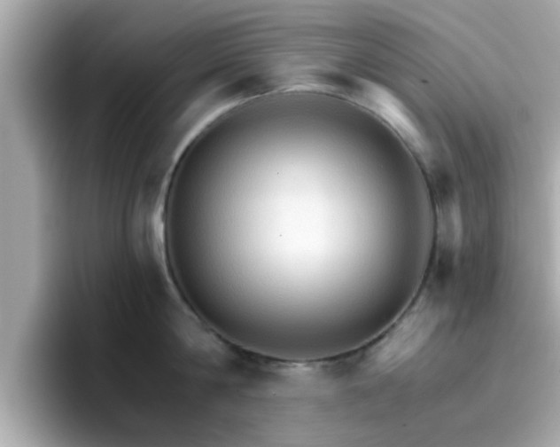 X0000096660814200802121129