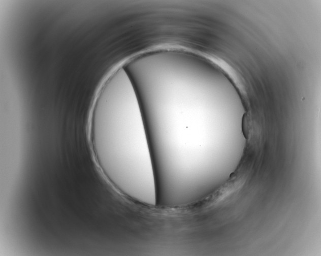 X0000096660815200802121129