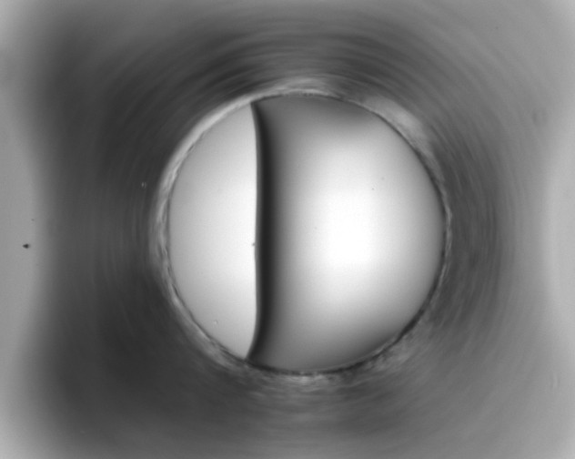 X0000096660816200802121129