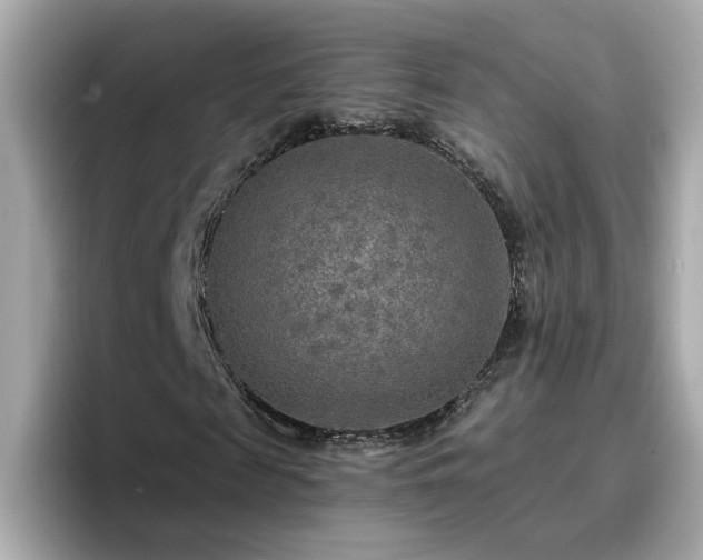 X0000096660817200802121128