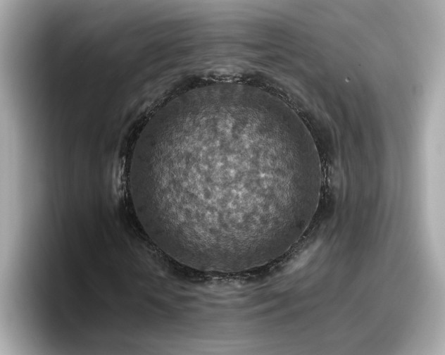 X0000096660818200802121128