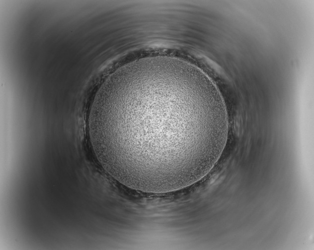 X0000096660821200802121128