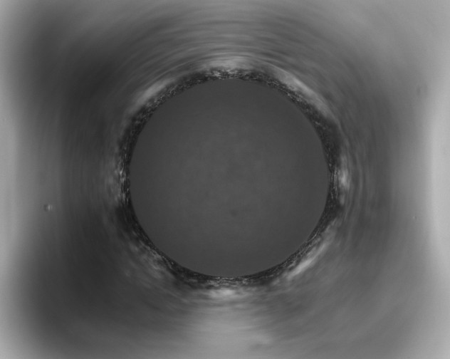 X0000096660822200802121128