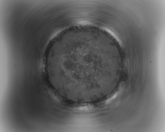 X0000096660823200802121129