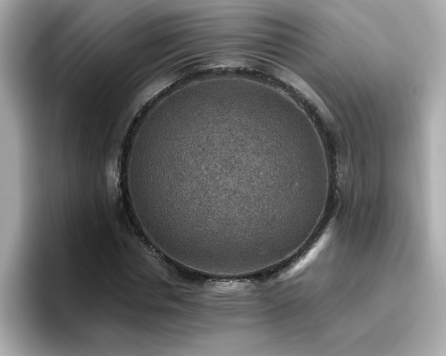 X0000096660826200802121129