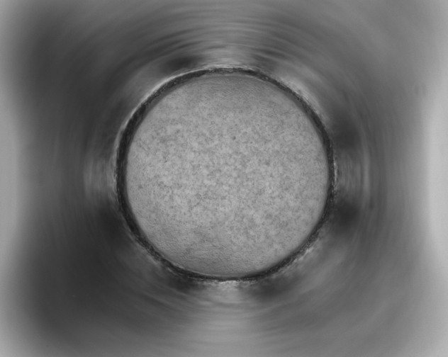 X0000096660828200802121129