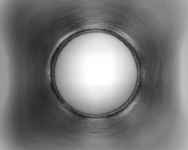 X0000096660830200802121129