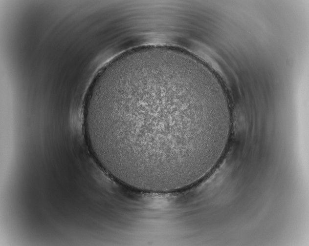 X0000096660831200802121129