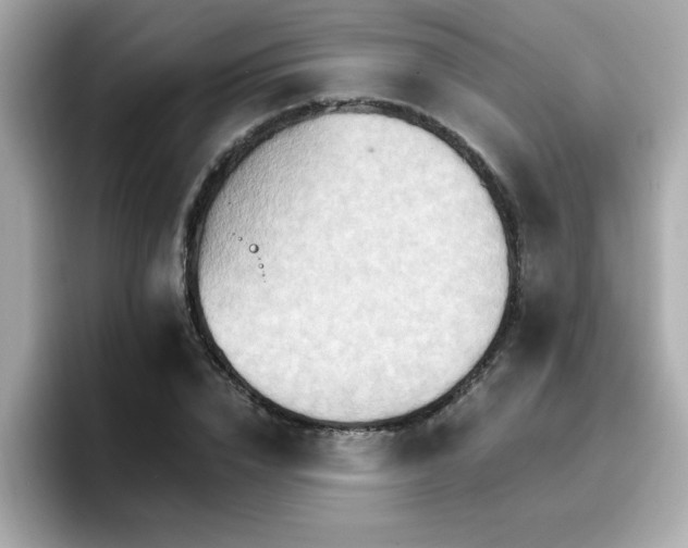 X0000096660832200802121129