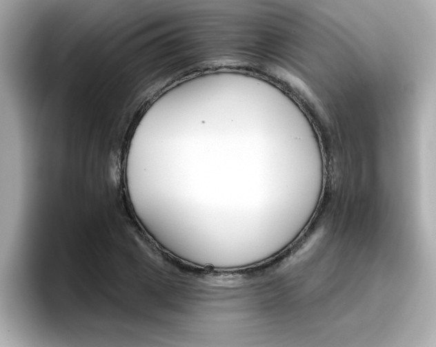 X0000096660833200802121129