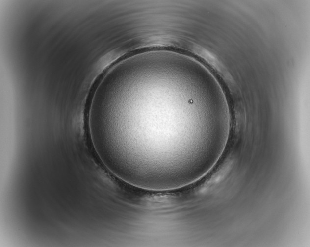 X0000096660834200802121129