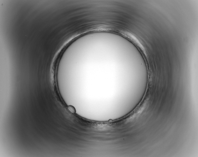 X0000096660835200802121129