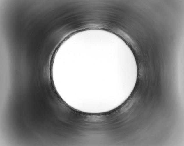 X0000096660836200802121129