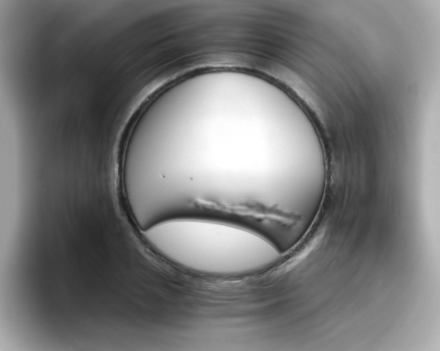 X0000096660837200802121129