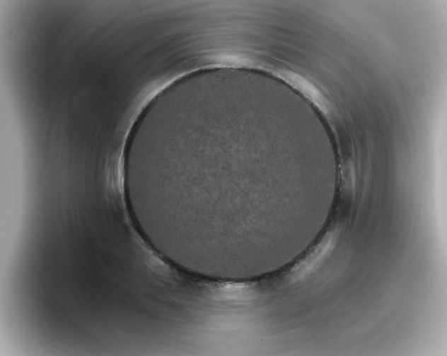 X0000096660839200802121129