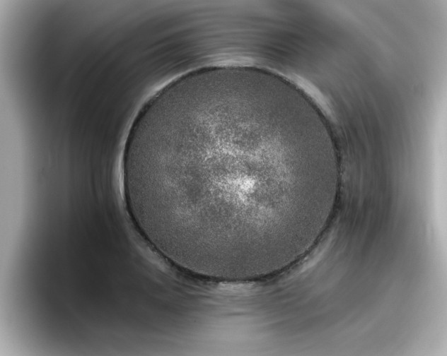 X0000096660840200802121129