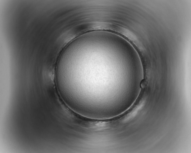 X0000096660841200802121129