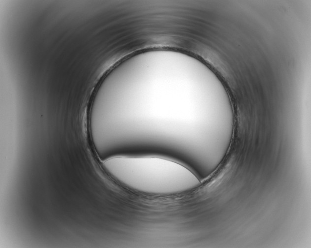 X0000096660842200802121129