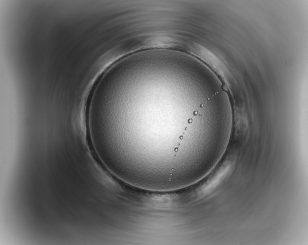 X0000096660843200802121129