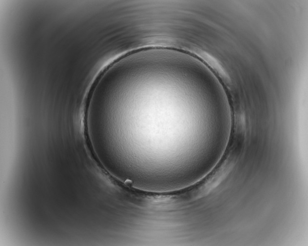 X0000096660846200802121129