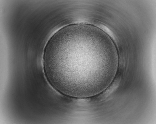 X0000096660847200802121129