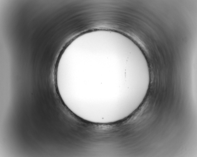 X0000096660848200802121129