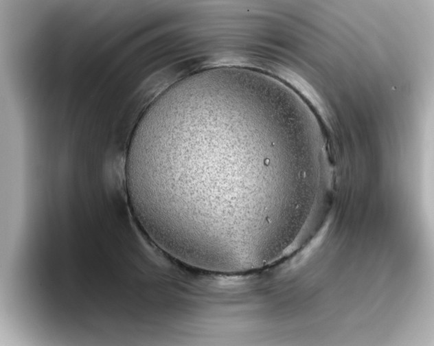 X0000096660849200802121129