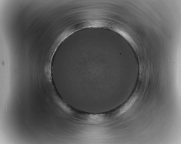 X0000096660850200802121129