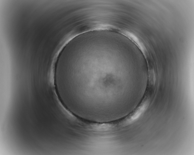 X0000096660851200802121129