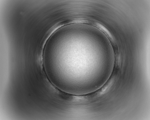 X0000096660852200802121129