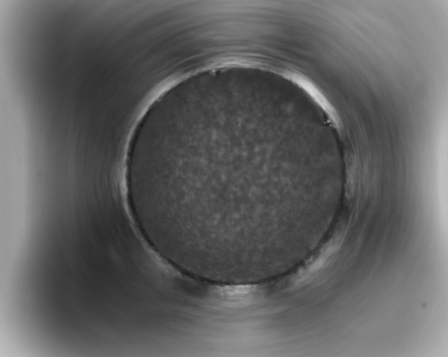 X0000096660853200802121129