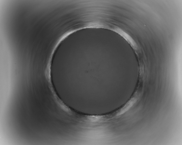 X0000096660854200802121129