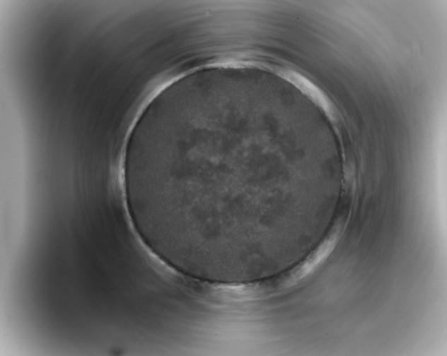 X0000096660855200802121129