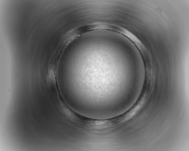 X0000096660857200802121129