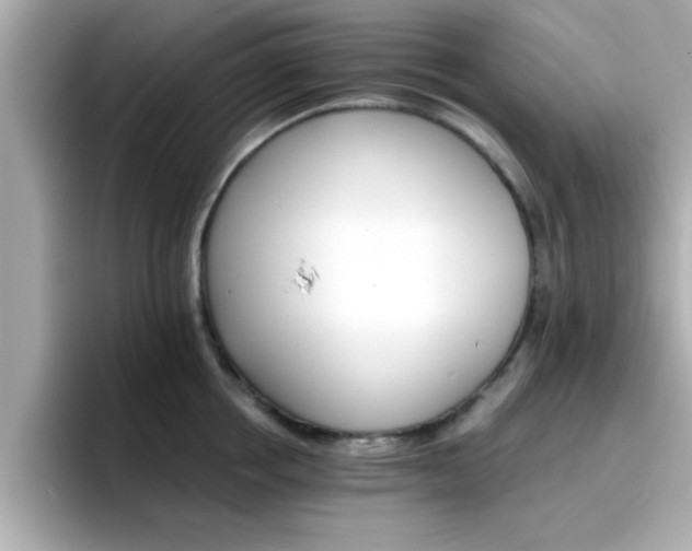 X0000096660858200802121129