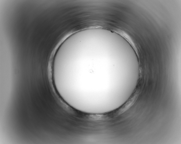 X0000096660859200802121129